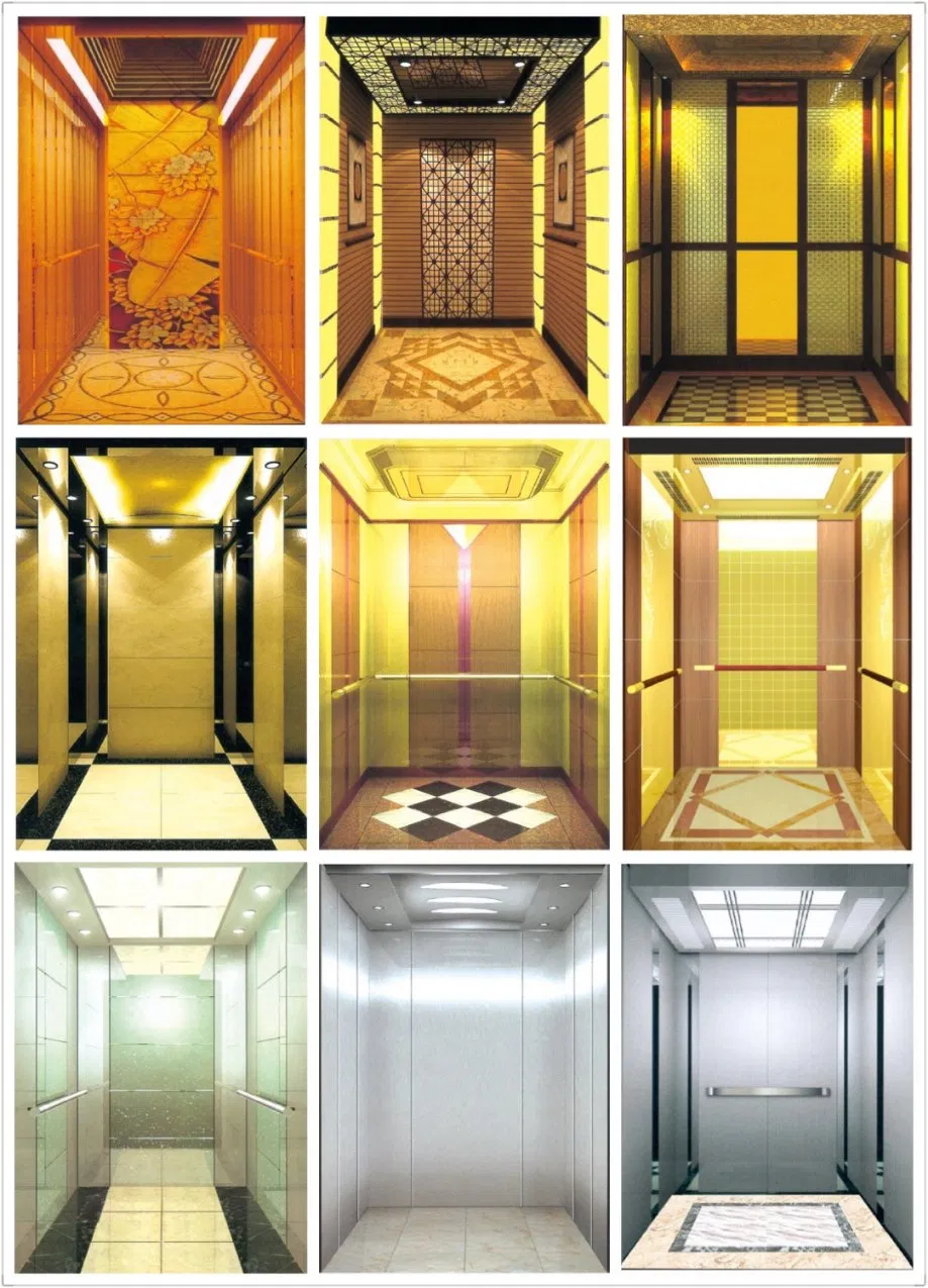 10 Persons 800kg 1.0m/S Stainless Steel Mirror Etching Home Panoramic Villa Passenger Elevator for Sale