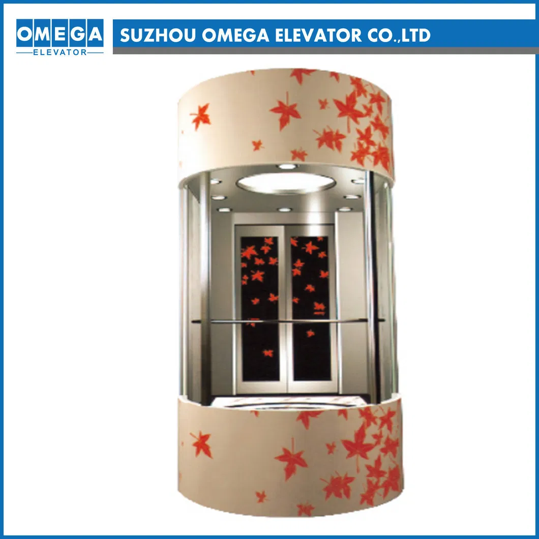 800kg Sightseeing Passenger Elevator Small Machine Room with Ard