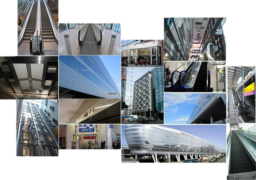 Brilliant Lift Luxury Silver Machine Room Passenger Elevator Best Price European Standard