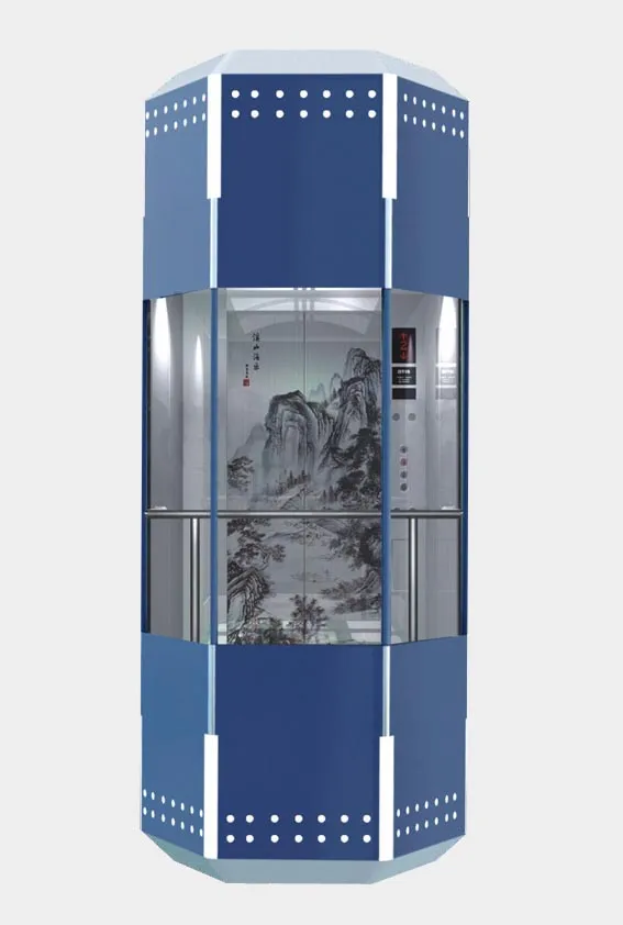 CE Approved Sight Seeing Passenger Elevator