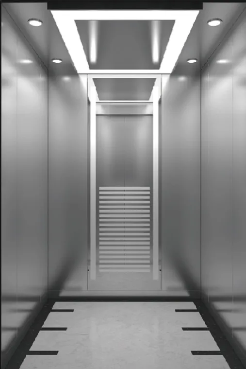 Center Opening Door Push-Button Control Hosting Ningbo Residential Elevator Emac