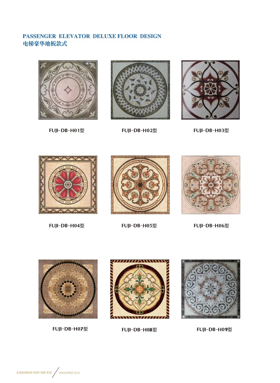 Center Opening Standard Safe Speed Home Villa Passenger Elevator