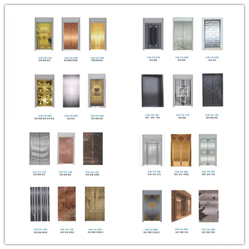 Center Opening Standard Safe Speed Home Villa Passenger Elevator