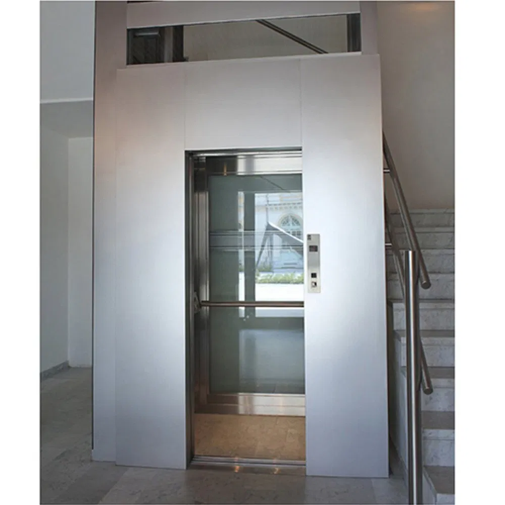 Cheap Price 320kg Villa Used Home Passenger Elevator Lift