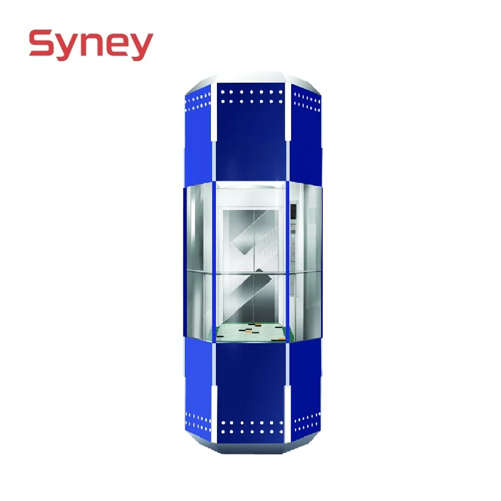 China Made Cheap Price Panoramic Glass Observation Lift Sightseeing Elevator