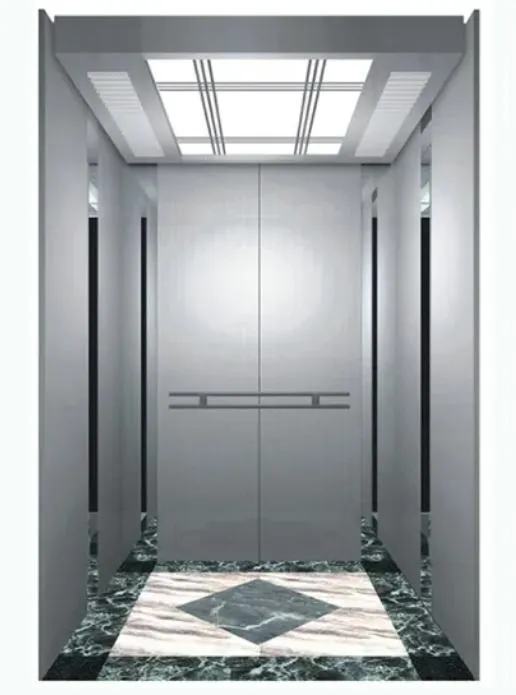 Competitive High Elegant Home Lift Passenger Elevator with 4 Panels Center Opening