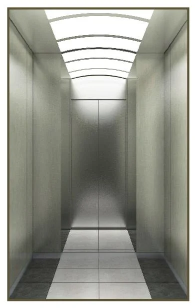 Envol Residential Passenger Elevator for Commercial Building with European Standard