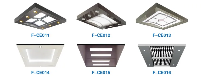 FUJI Brand 10 Persons 800kg 1.6m/S Golden Titanium Stainless Steel Mirror Etching Home Panoramic Villa Passenger Elevator with Vvvf Monarch Control