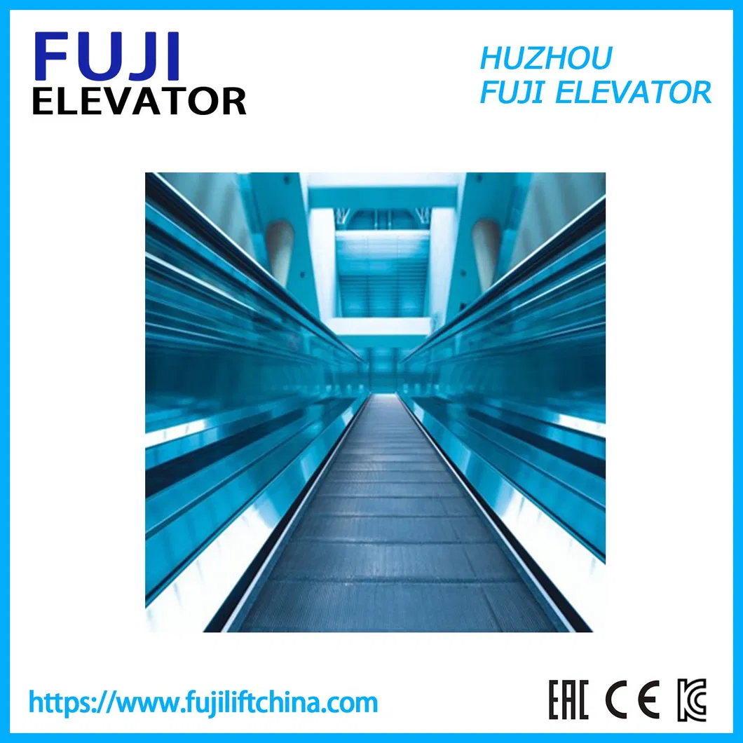 FUJI China Factory Indoor Outside Commercial Escalator Moving Walk with Vvvf and Auto Start Stop