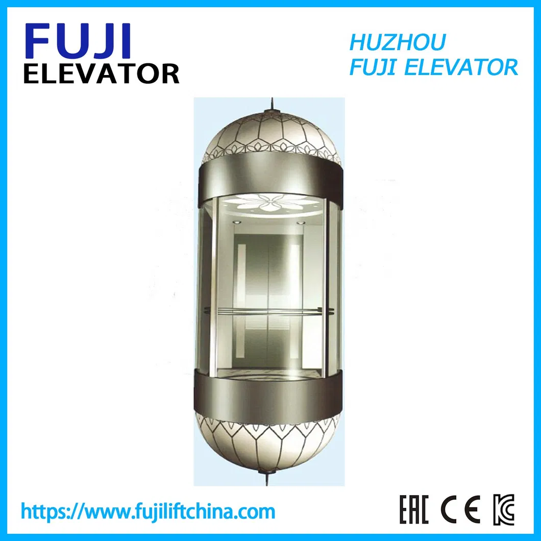 FUJI China Factory Vvvf Control Observation Panoramic Passenger Elevator Home Elevator Machine Room and Machine Roomless