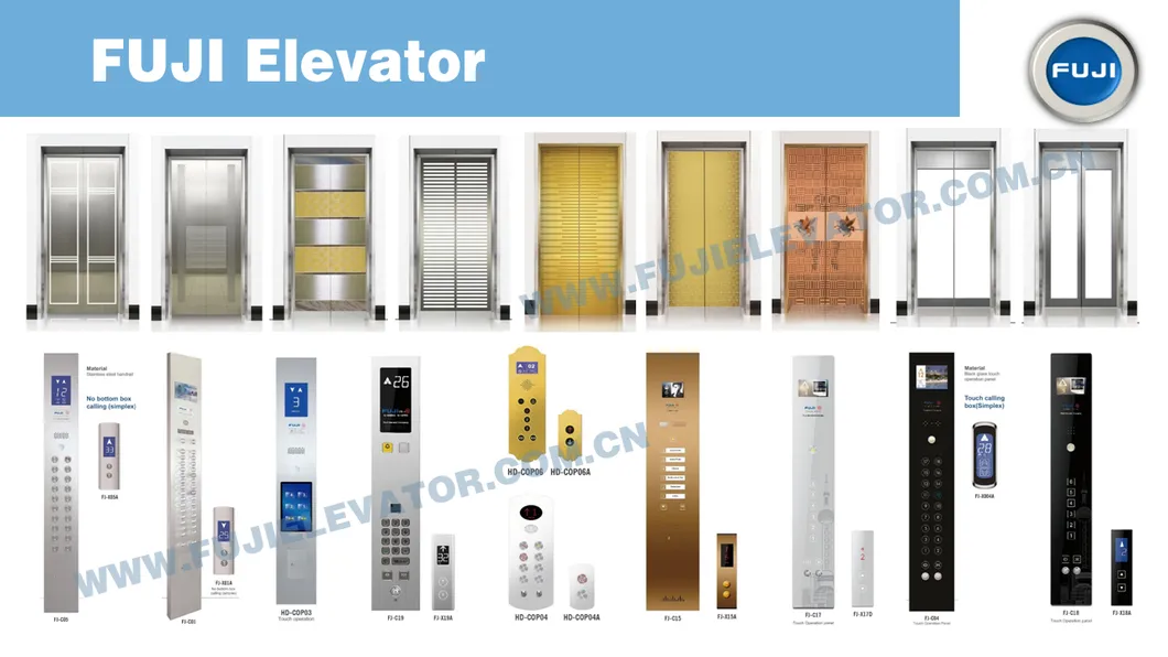 FUJI Home Elevator Hospital Lift Passenger Elevator for Sale