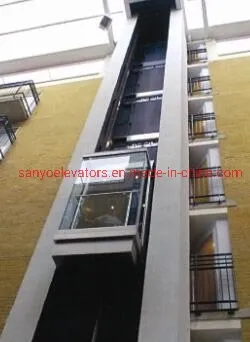 FUJI SANYO Competitive Price Panoramic Glass Sightseeing Elevator With CE