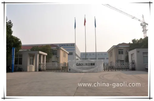 Gaoli Top Quality Professional Lifting Construction Building Hoist Sc100/100