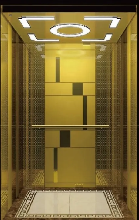 Gold elevator Lift Cabin Black Door opening