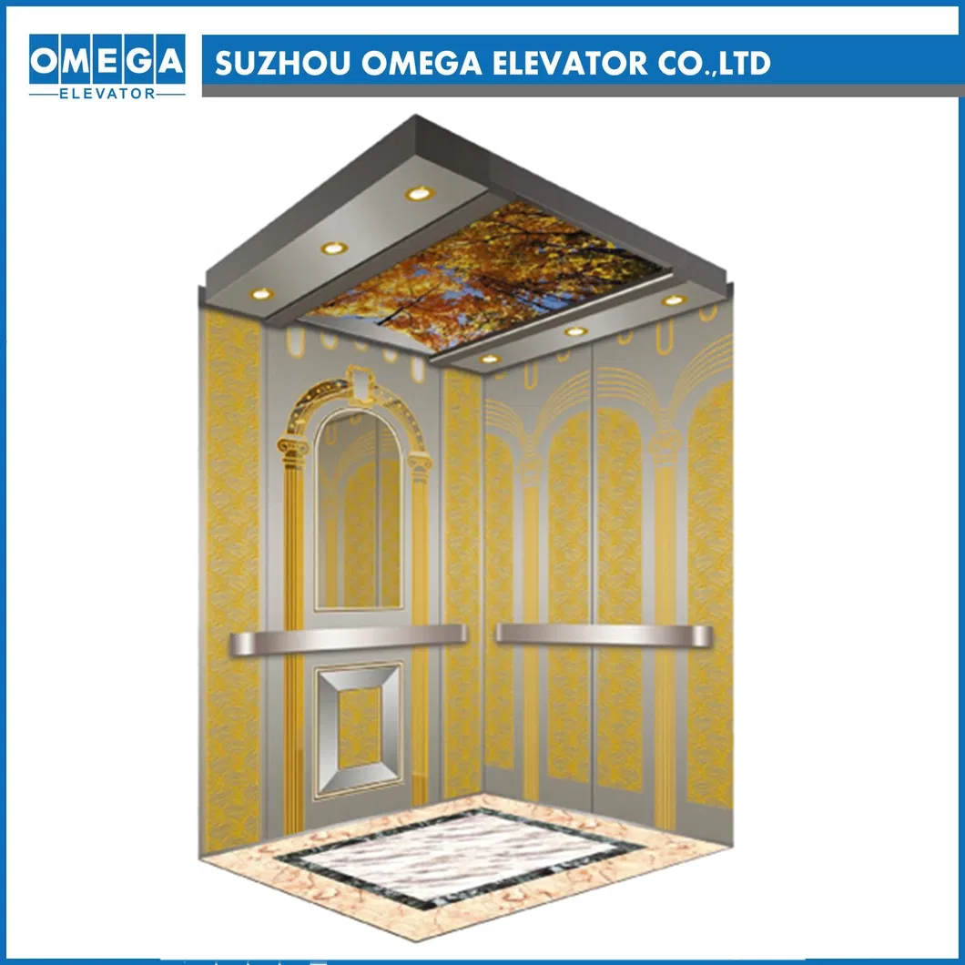 High Speed Spacious Luxurious Approved Passenger Elevator Home Villa Lift