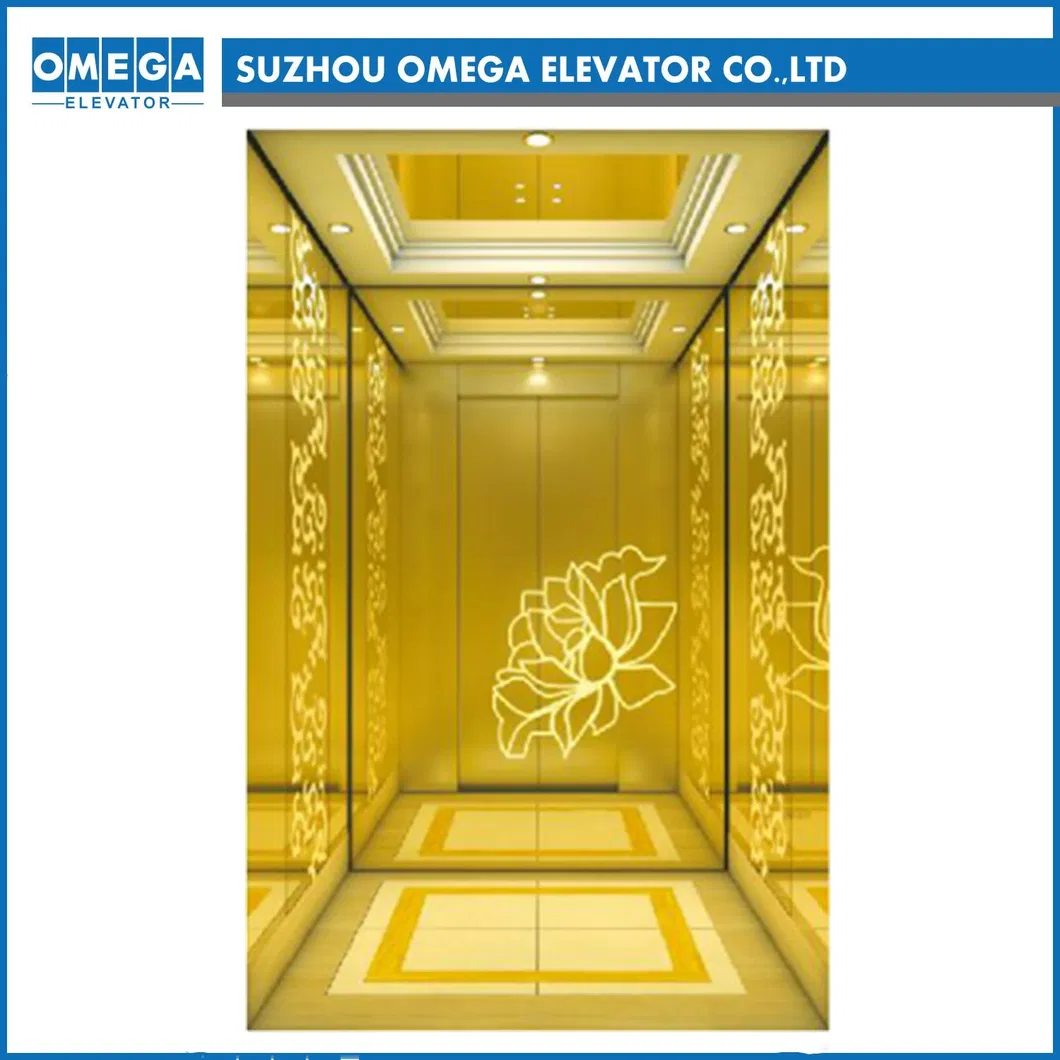 Hitachi Titanium Gold Mirror Ss Residential Sightseeing Panoramic Passenger Elevator High Speed