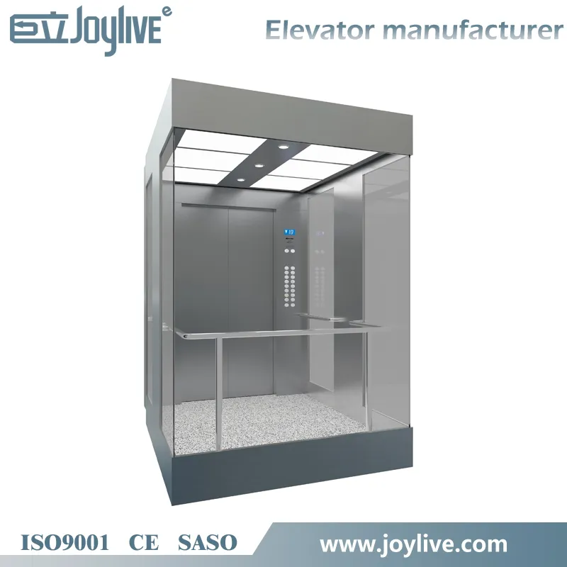 Joylive Hot Selling Capacity 1250kg Panoramic Elevator