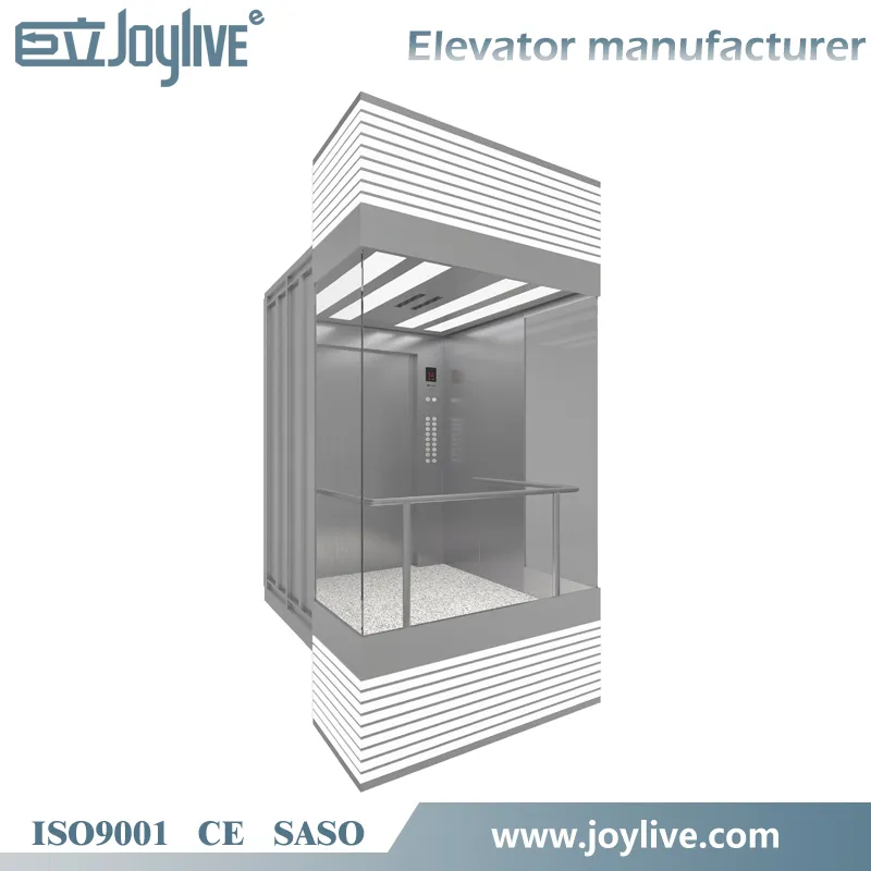 Joylive Outdoor Panoramic Passenger Lift Elevator