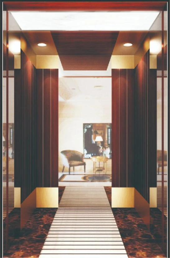 Low Price Passenger Lift/ Elevator for Hotel