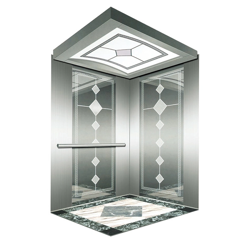 Luxury Residential Cheap Passenger Home Lift Elevator with Stainless Steel Cabin