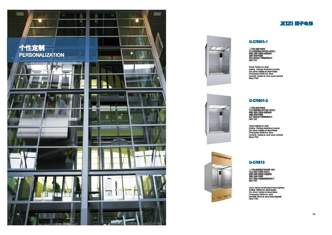 Machine Roomless  Building Passenger Elevator with Ce