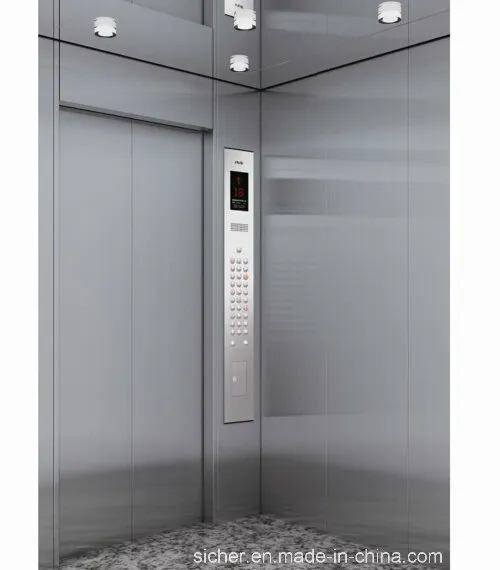 Made in China Customized Observation Elevator