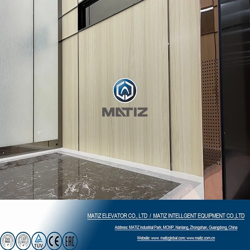 Matiz Reliable Residential Passenger Elevator Lift for Sale